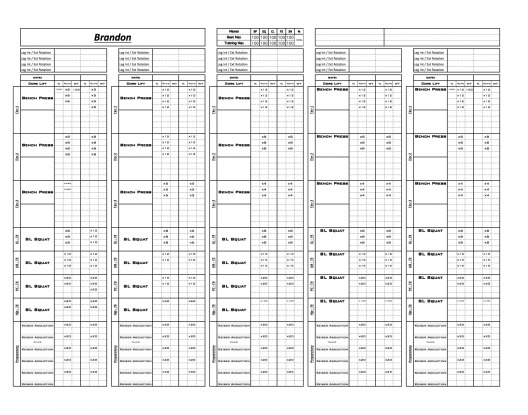 Weight Training Program Template from www.exceltrainingdesigns.com